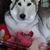 Tammy Heavenridge's profile image
