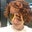 Jennefer Shpilman's profile image