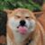 Scarlett Dupe's profile image