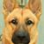 Javier Devivero's profile image