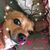 Patricia Rivera's profile image