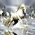 Theresa Aberle's profile image