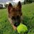 Jessica Lee Despard's profile image