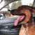 Cindy Moore Milligan's profile image