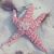 Anita Smith's profile image