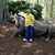 Mike Hylton's profile image