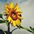 Martin Boekers's profile image