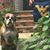 Kathy Hourigan Schneider's profile image