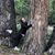 Beth Emery Stacey's profile image