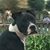 Jack DeGaetano Sr.'s profile image