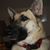 Michael Bartley's profile image