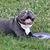 Mary J. Perry's profile image