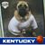 Brenda Cooper's profile image