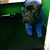 Andrea Batista's profile image