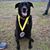 Terry L. Potter Jr.'s profile image