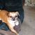 Karen Swart's profile image