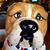 Deb Martinage's profile image