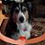 Kathy McKelvey's profile image