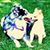 Sara Mae Knutson's profile image