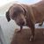 Jerry Blice's profile image