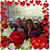 Cecilia Cadenas's profile image