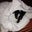 Barbara Varlotta's profile image