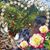 Rosa Carnelossi's profile image