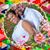 Wendy Johnson's profile image