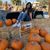 Kajol Patel's profile image