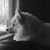 Anna Rhyder Baughn's profile image