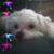 Linda Mullin's profile image