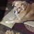 Lanna Melko's profile image