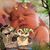 Amelia Amber Green Postell's profile image