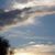 Cheri Waller's profile image
