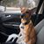 Kim Harty's profile image