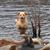 Debbie N Ken Hughes's profile image