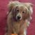 Kymm Benvin Furko's profile image