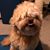Jesse Rubin's profile image