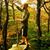 Paul A Varvaro's profile image