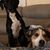 Christine Wilbert Smith's profile image