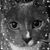 Melissa Craft's profile image
