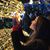 Hanh Quynh Pham's profile image