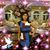 Insia Saleh's profile image