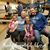 Kathy Westerlund's profile image