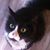 Brennon AloneStar Hockley's profile image