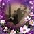 Cynthia Thurmond- White's profile image