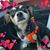 Ana Mitchell's profile image