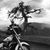 Connie Schreiman Wilson's profile image