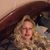 Laura Mike Mauldin's profile image