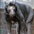 Doug Westvold's profile image